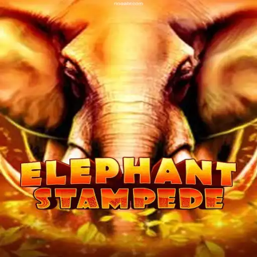 Unleashing the Adventure: ElephantStampede and the Thrills of RIOAA.COM